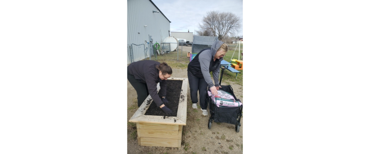 Garden Boxes